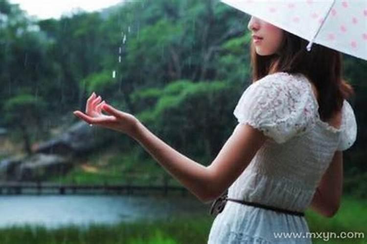 梦见下大雨上坟