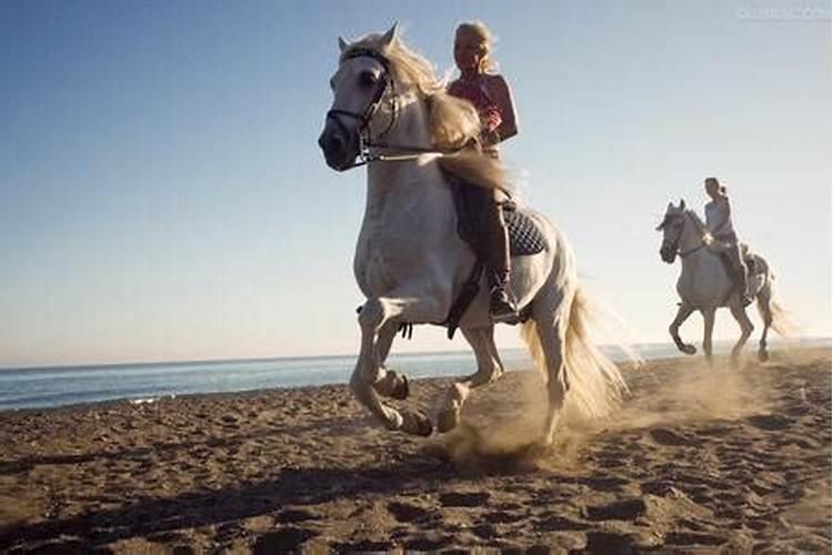 梦见骑着马奔跑的含义是什么呢