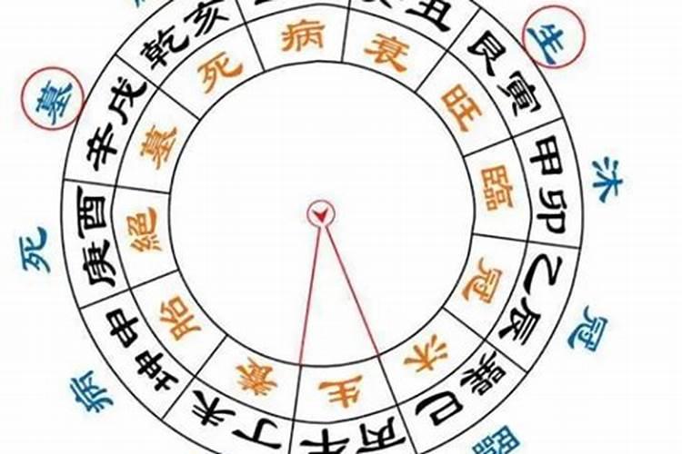 八字星运死在时柱