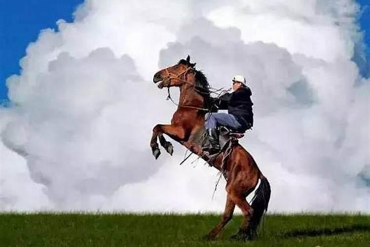 梦到骑着一匹马快跑
