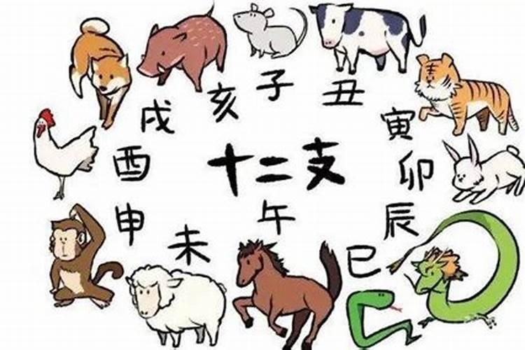 猪是什么时辰