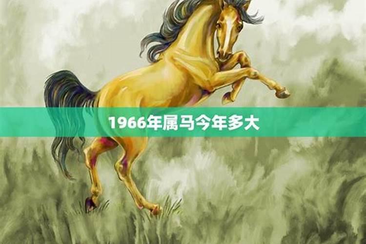 1966年属马和1990年属马