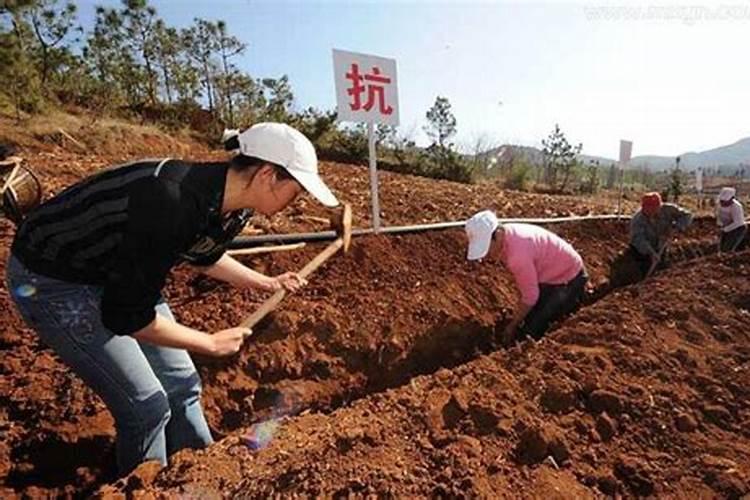 梦见别人在我家房前挖排水沟什么意思啊