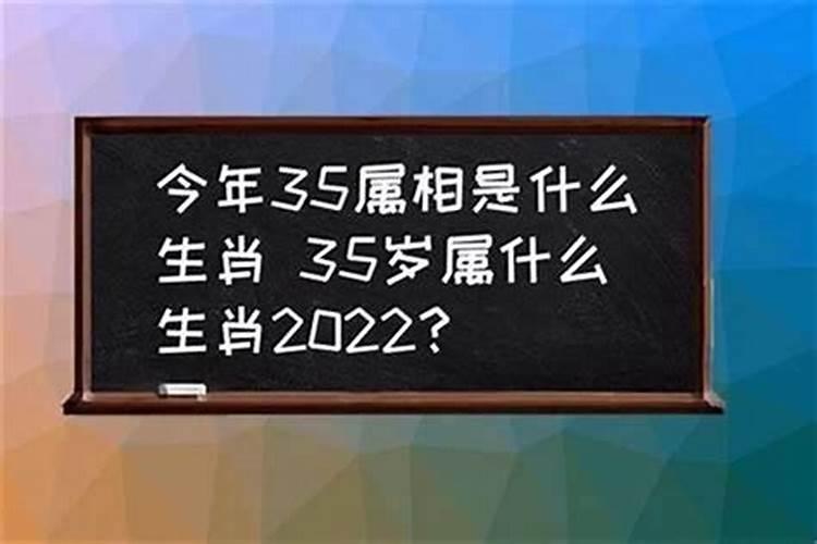 请问35岁的生肖是什么