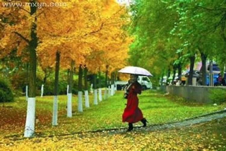 女人梦见下小雨打着伞