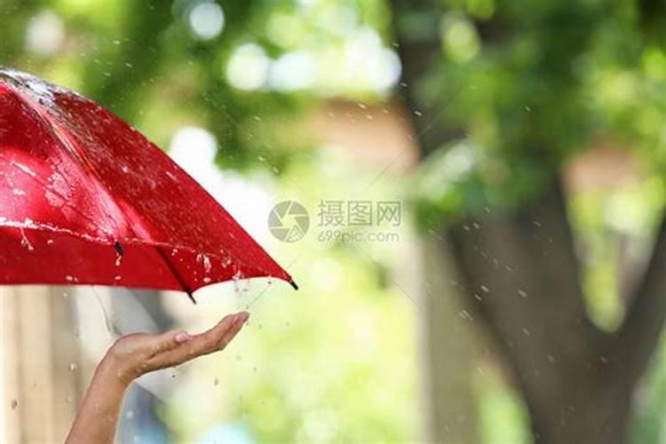 女人梦见下小雨打着伞