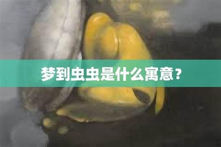 梦见虫子寓意什么