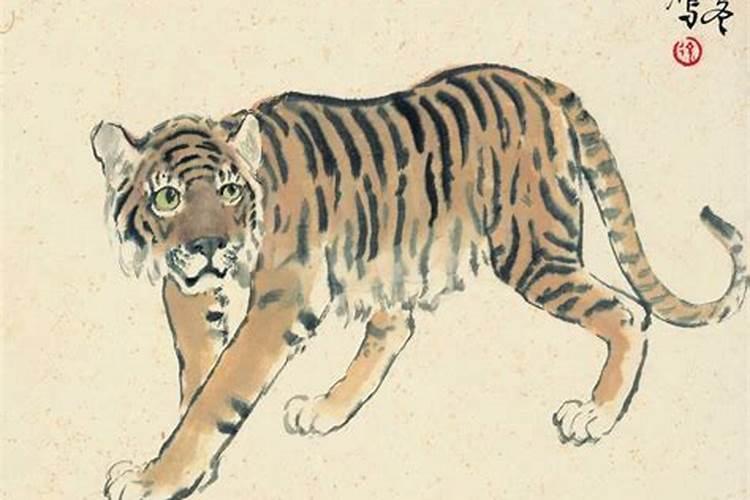 虎的后面生肖是什么动物