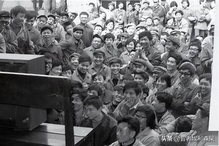 1981年是什么命格的人呢