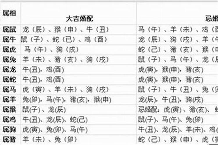 属相狗和属相蛇合不合