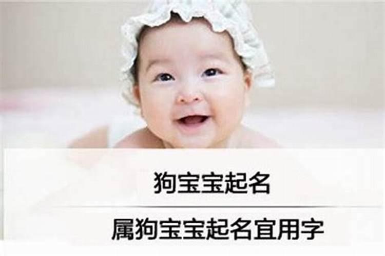 生肖狗的婚姻配对是什么