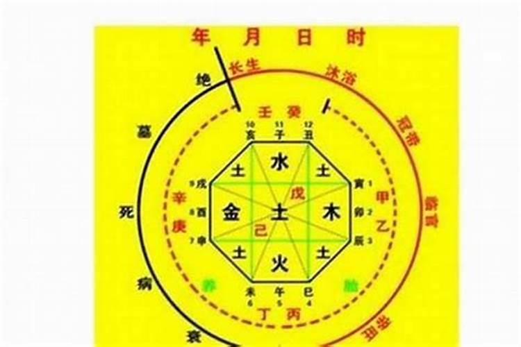 八字里带帝王星代表什么