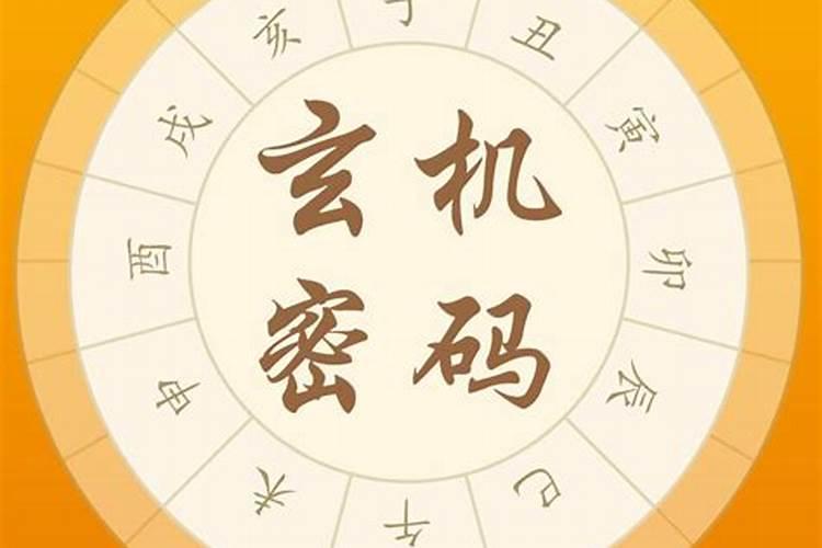 八字号码测试