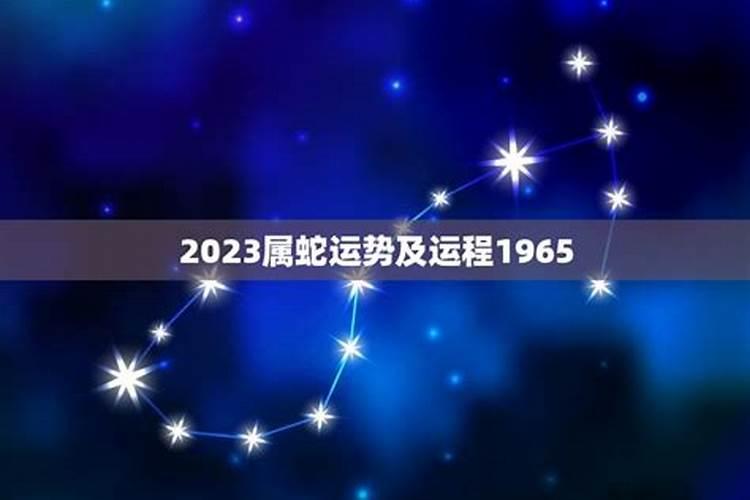 蛇年2023年运势及运程2001