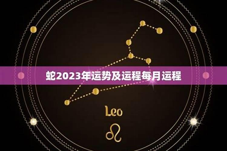 蛇年2023年运势及运程每月运程