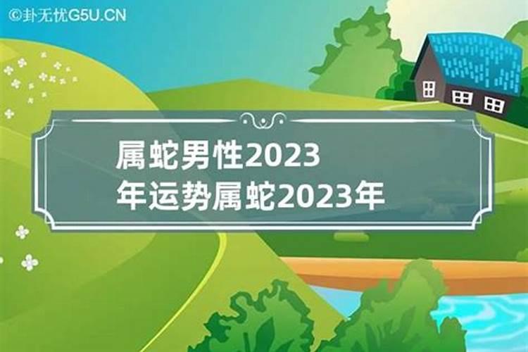 蛇年2023年运势及运程每月运程