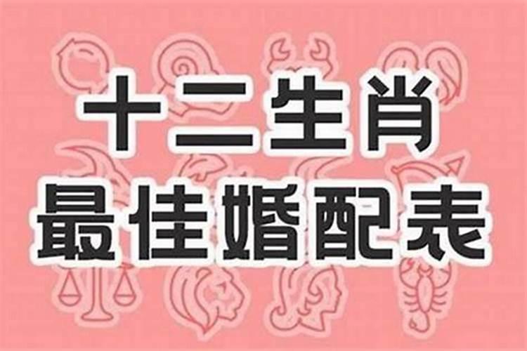 生肖虎与哪个生肖最配婚姻