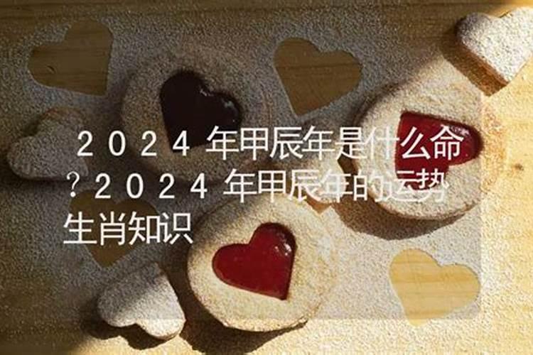 1月16是什么星座