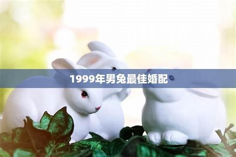 1999年属啥