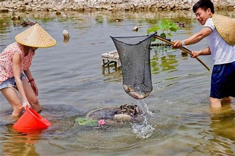 怀孕八个月梦见抓鱼是什么意思