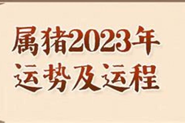 属猪人在2023年的全年运势