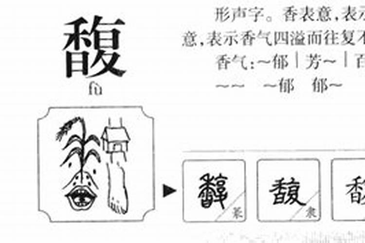 馥字五行属什么