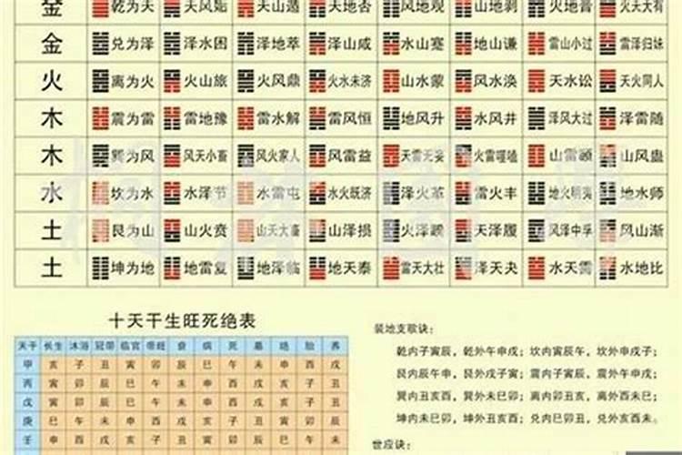 狗和兔八字合不合