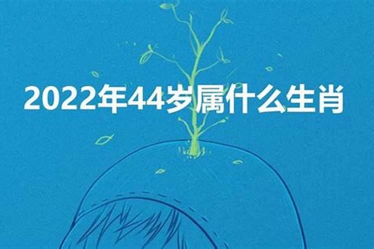 44岁属什么生肖的2022什么命