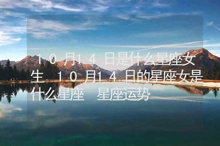 11月12日是什么星座