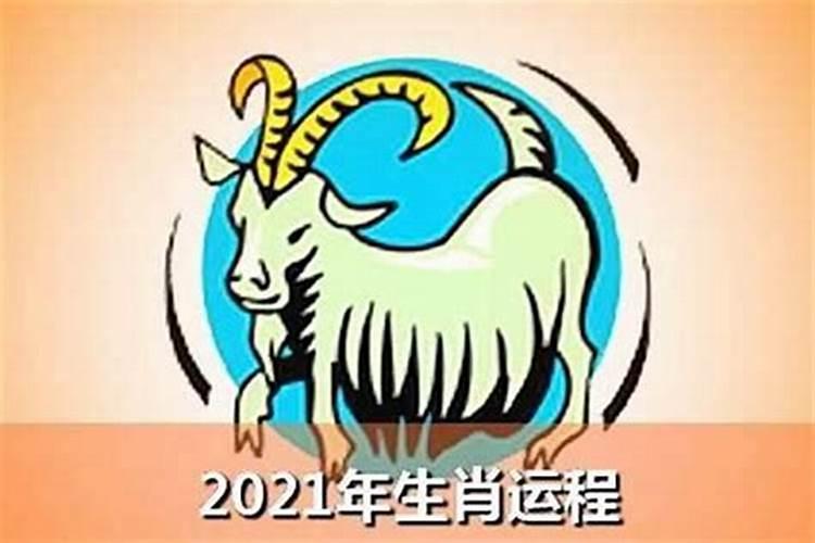 属羊在2023年的运气会怎样呢