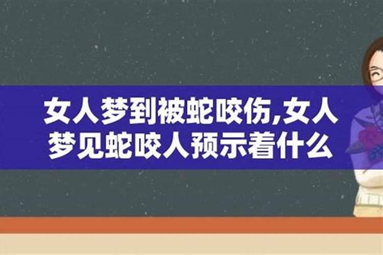 梦到很多蛇,还被咬了预示着什么