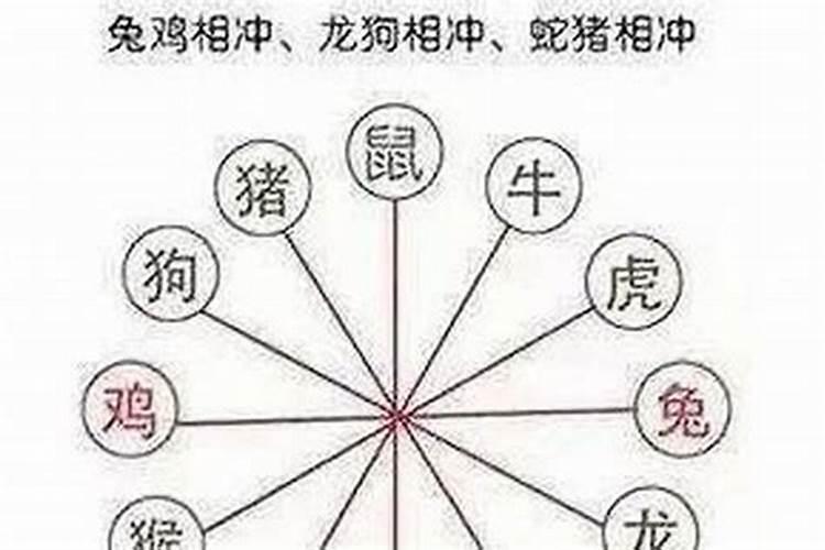 鼠和什么属相相冲最凶