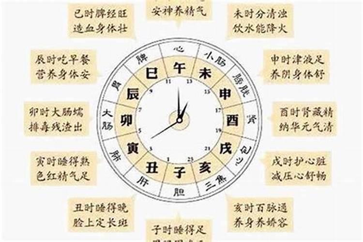 乌龟属火的人养会怎么样