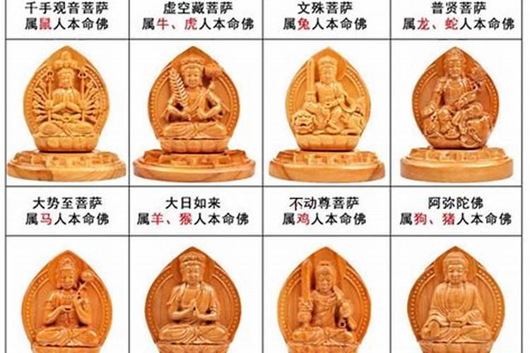 十二生肖的守护神是哪位佛菩萨