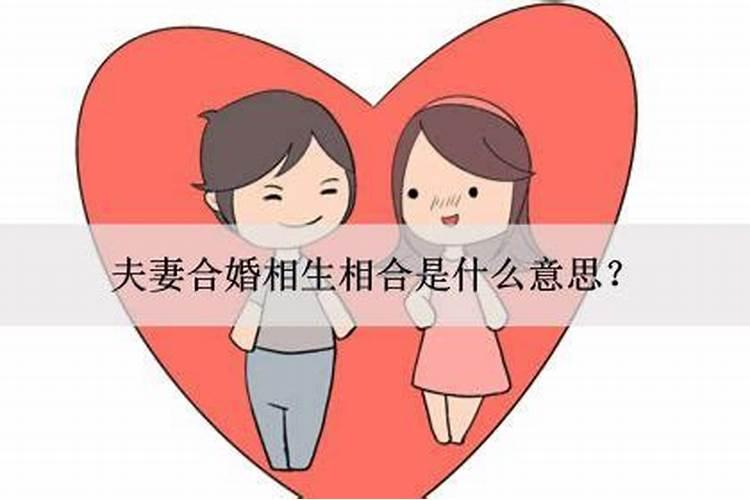 合婚是指什么意思呀