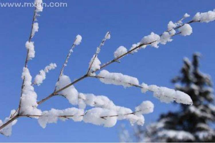 夏天梦到下雪预示着什么