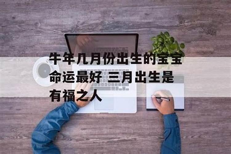 梦见母牛下小牛