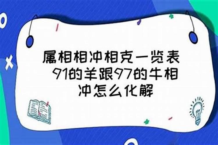 属羊和属牛的合不合得来