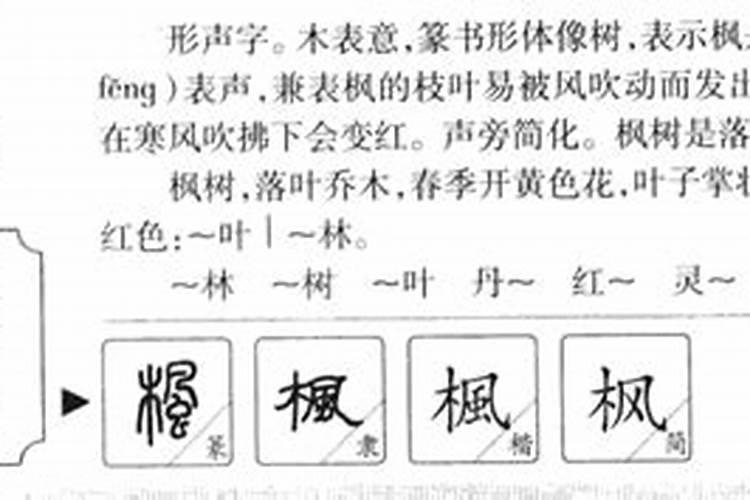 枫字五行属什么