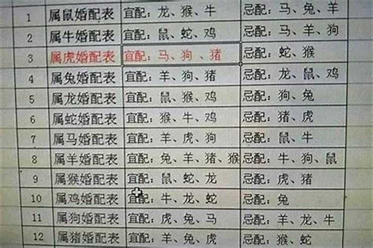 94年出生的人属于什么生肖