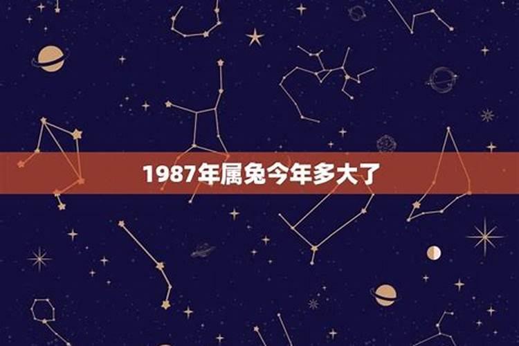 属兔的人今年多少岁1987年的出生