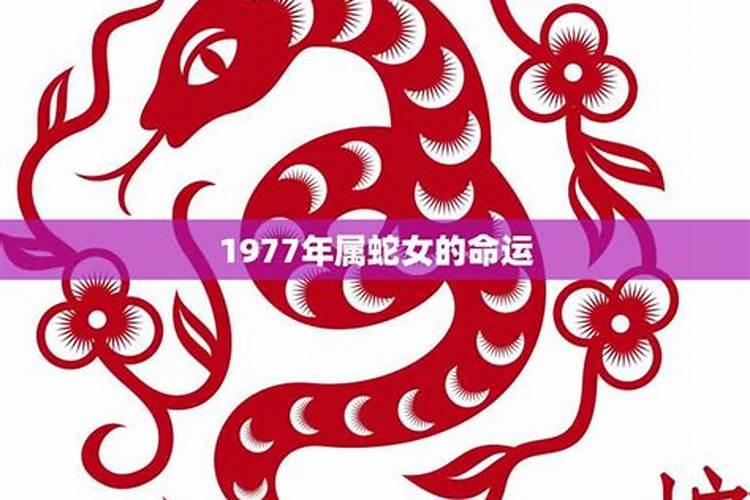 1977年属蛇12月出生运势