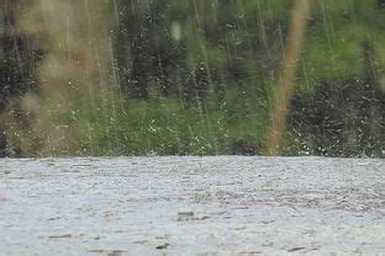 梦见下大雨怎么回事