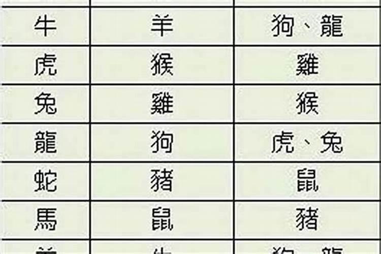 兔和龙相配婚姻如何99年和2000年