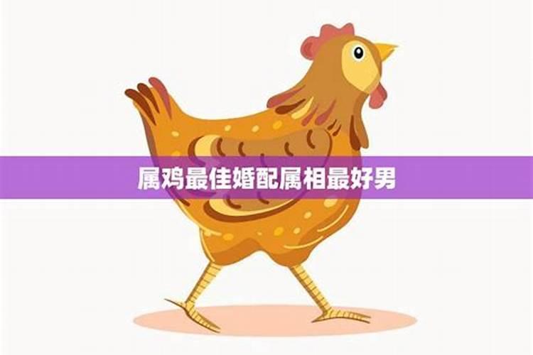 属鸡男的婚配属相是什么