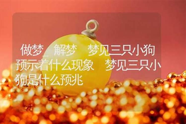 做梦梦到狗预示着什么周公解梦