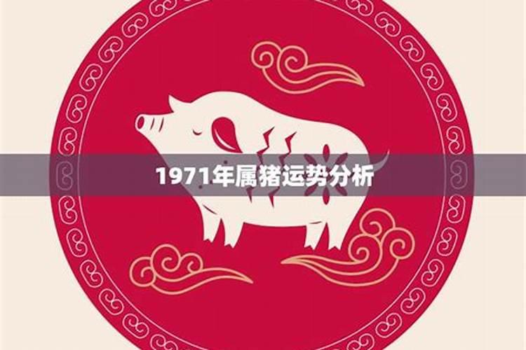 1971年属猪运气如何