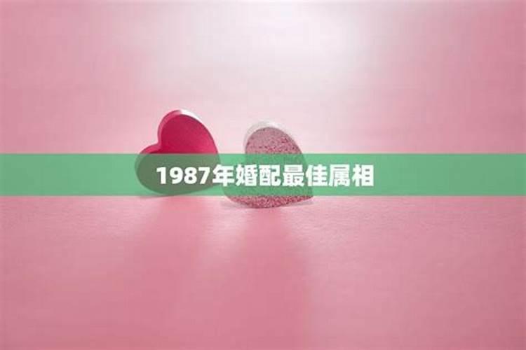 87年跟87年的结婚好不