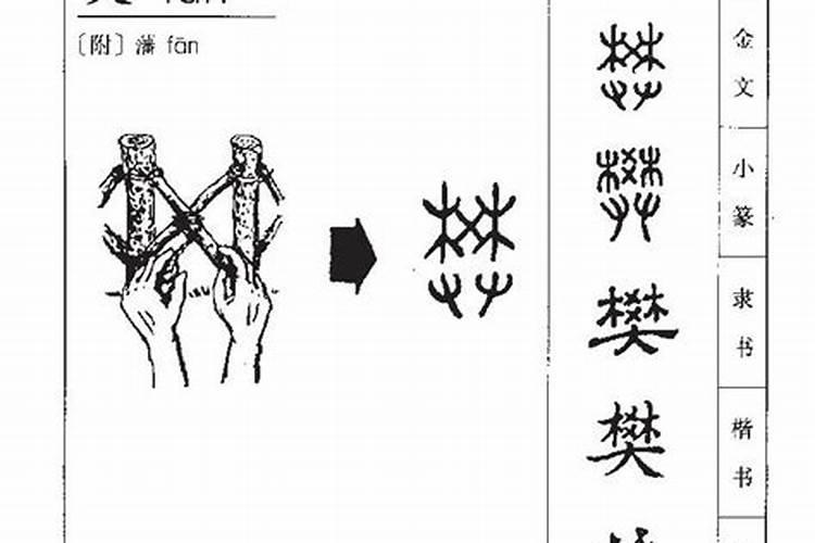 樊字五行属什么