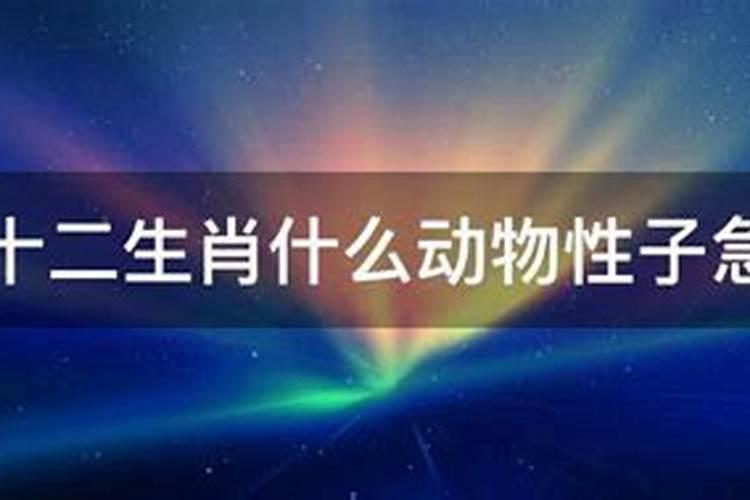 十二生肖急性子是什么动物